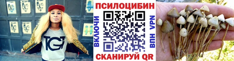 блэк спрут   Самара  Галлюциногенные грибы Psilocybine cubensis 
