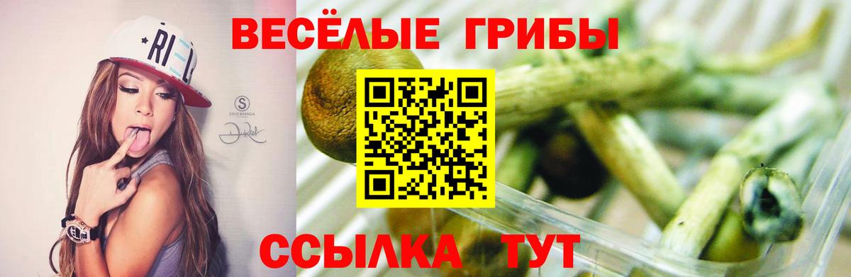 Галлюциногенные грибы GOLDEN TEACHER  Вход с VPN  Самара 